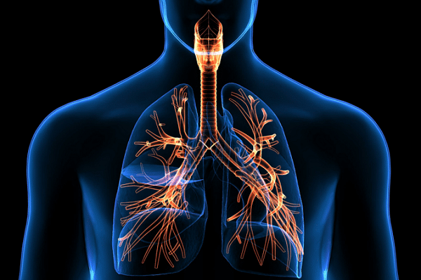 How To Secure Your First Locum Respiratory Physiology Job