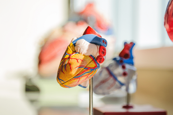 How much does a cardiac physiologist earn?